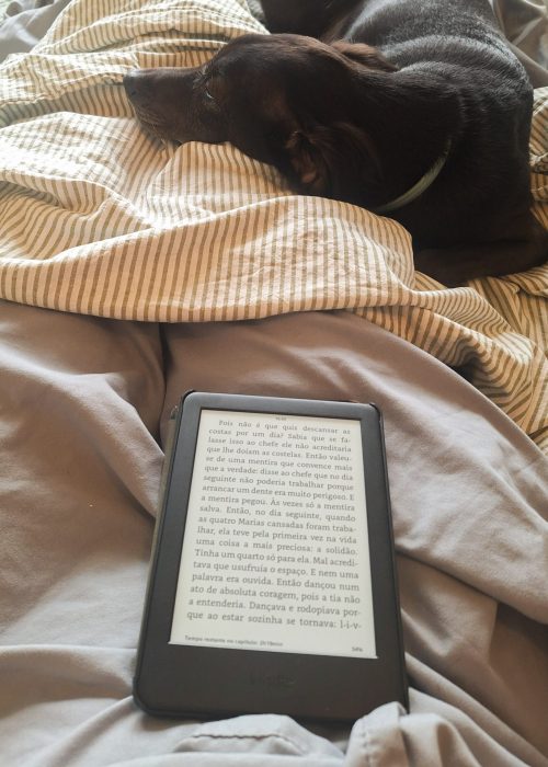 Leitura antes de dormir com o cachorro